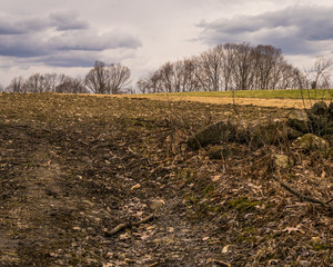 Fall in New Hampshire trees, field, stone wall