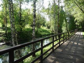 Wooden bridge in the Park