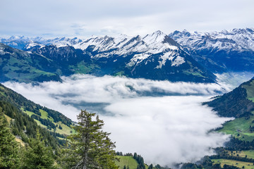 View from high top  with fog ocean below and alp mountain in the background in autumn, Switzerland