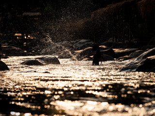 Obraz premium Happy children playing in water and making splash. Tone image