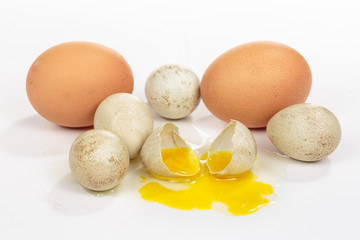 Broken partridge egg surrounded by other eggs with different sizes and colors