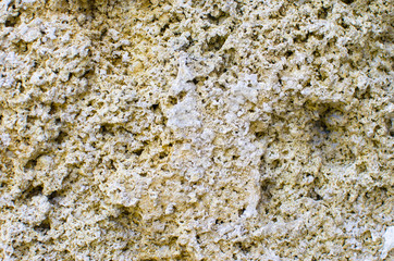Coquina natural porous stone. construction material