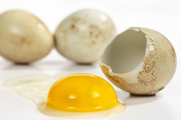 Raw partridge egg and its cracked eggshell in front of other eggs, on white