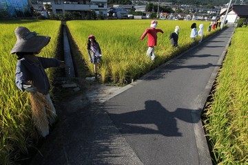 案山子(かかし)