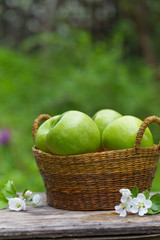 Fresh sweet juicy green apples with flowers wood