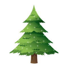 pine tree light decoration merry christmas vector illustration