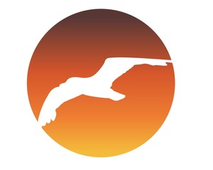 logo gabbiano vettoriale