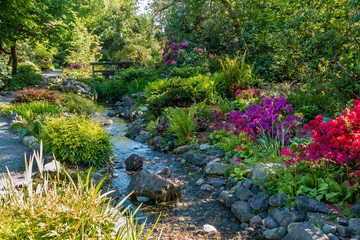Garden Stream Landscape 2