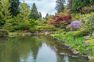 Fototapeta na wymiar Pond And Garden Landscape