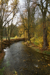 Herbst
Im Wesenitztal