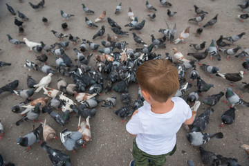 Little caucasian boy catching and playing with pigeons on city place