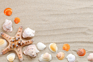 Starfish, seashells, sea stones and palm leaves lying on the sea sand . There is a place for labels.