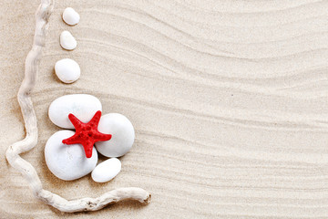 Starfish, seashells, sea stones and palm leaves lying on the sea sand . There is a place for labels.