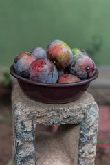 Succulent and tasty,fleshy Willard Mango of tropical Sri Lanka