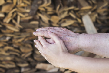 Old and new human hands