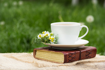 Hot chamomile tea in the garden on a green background.