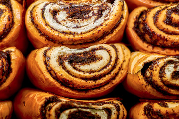 Fototapeta premium Buns with poppy seeds. Russian national food.