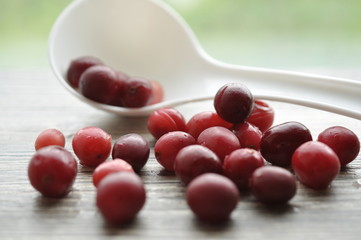 Large garden red juicy cranberries
