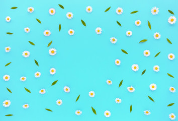 Daisy Flowers, Bellis perennis, and green leaves on turquoise blue background with copy space. Flat lay and top view.

