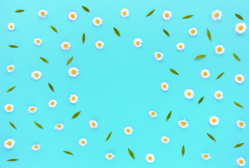 Daisy Flowers, Bellis perennis, and green leaves on turquoise blue background with copy space. Flat lay and top view.
