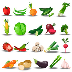 set with fresh healty vegetables