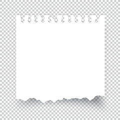 Sticky torn note paper isolated on transparent