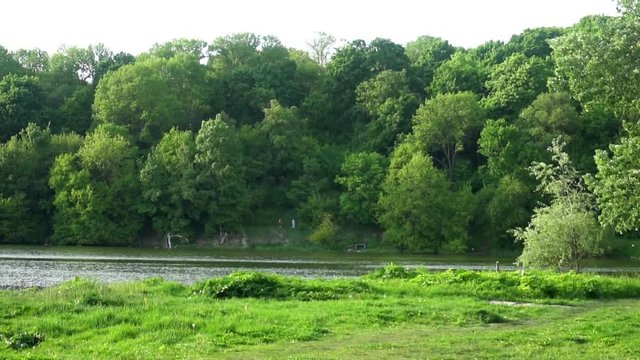 beautiful pond in the woods,green trees ,birds