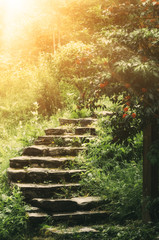 Fototapety  Kamienne schody w parku z zielonymi drzewami i trawą. Słońce świeci. Naturalna koncepcja podróży