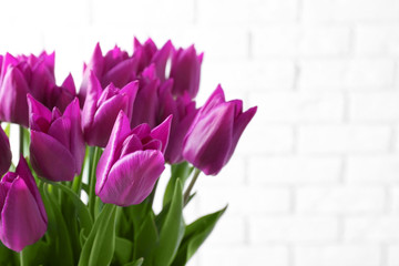 Beautiful tulips on light background