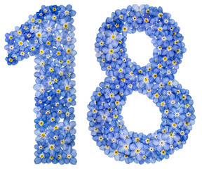 Arabic numeral 18, eighteen, from blue forget-me-not flowers