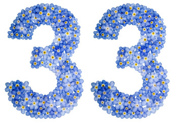 Arabic numeral 33, thirty three, from blue forget-me-not flowers