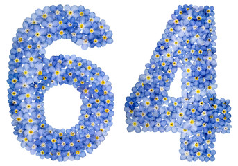 Arabic numeral 64, sixty four, from blue forget-me-not flowers