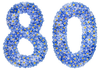 Arabic numeral 80, eighty, from blue forget-me-not flowers