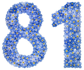 Arabic numeral 81, eighty one, from blue forget-me-not flowers