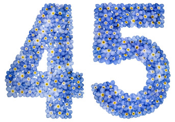 Arabic numeral 45, forty five, from blue forget-me-not flowers