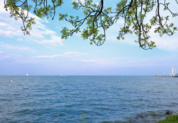 Beautiful lake under the blue calm sky with green tree branches above. Ecologic bright summer pacific scenic. Closeup