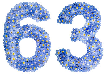 Arabic numeral 63, sixty three, from blue forget-me-not flowers
