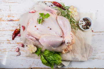 Raw whole chicken with herbs and spices on rustic wood background