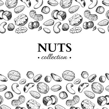 Nuts vector vintage frame illustration. Hand drawn engraved food objects.