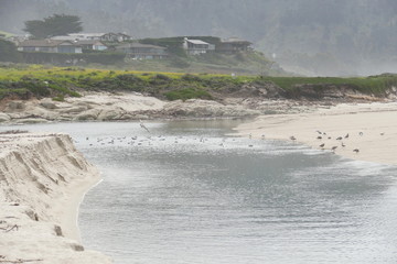 Big Sur : Carmel River