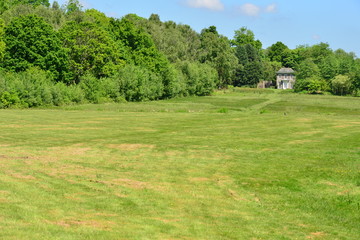 Fototapeta na wymiar A very large lawn area on a country estate in Sussex