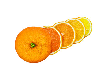 Segments of grapefruit, orange, lemon, lime. Grapefruit, orange, lemon, lime