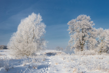 Obraz na płótnie Canvas Morning Frosty Winter Landscape With Dazzling White Snow And Hoarfrost, River And A Saturated Blue Sky.Winter Small River On A Sunny Day. A Real Russian Winter.Frost frost on the trees. Sunny day