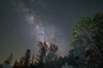 Fototapeta na wymiar Milky Way Galaxy and trees