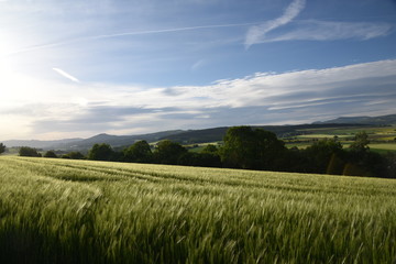 Blick über Felder