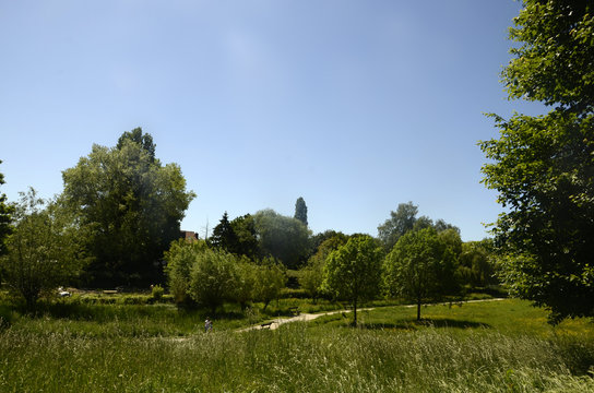 Parc r&eacute;gional du Scheutbos (Molenbeek-Saint-Jean, Belgique)