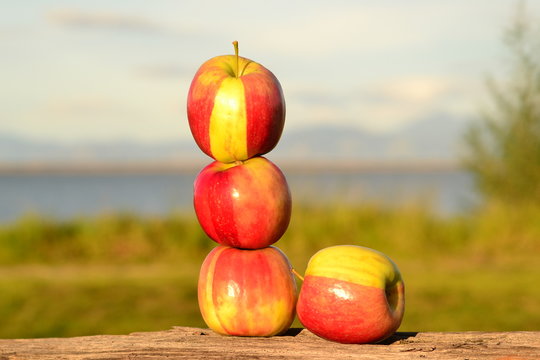 Striped apples II