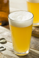 Light Refreshing Summer Craft Beer
