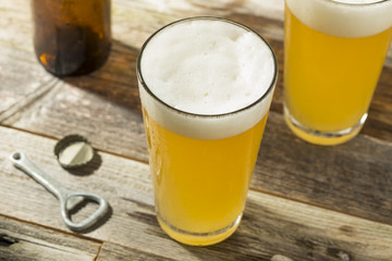 Light Refreshing Summer Craft Beer