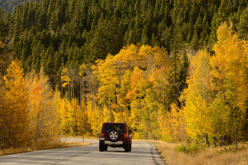 Driving Through Fall